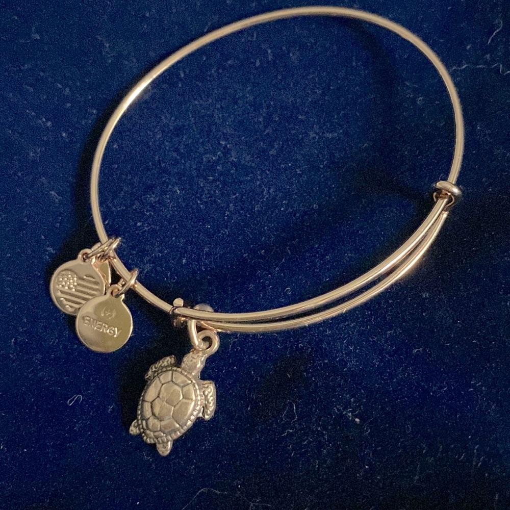 Alex and Ani Rose Gold Sea Turtle Bangle